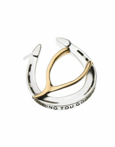 Wishing You Good Luck Lapel Pin in Sterling Silver and 14k Gold